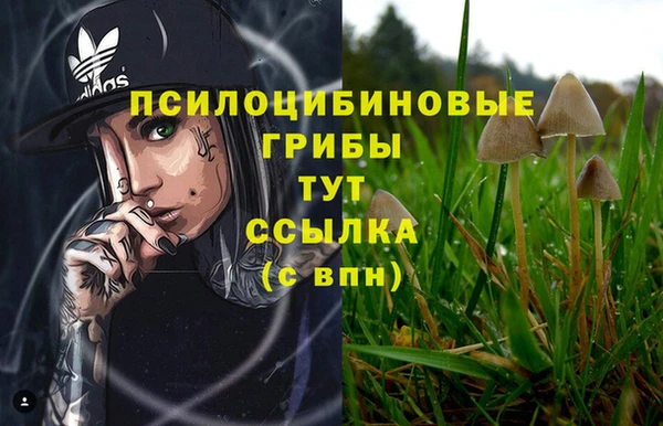 ALPHA PVP Алексеевка