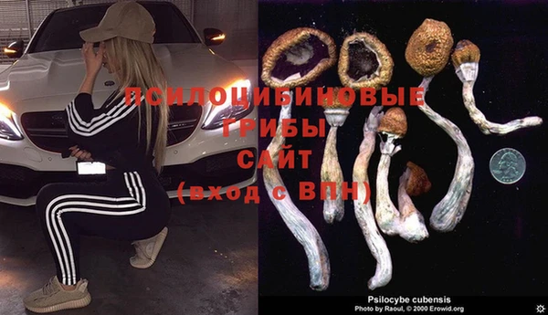 круглые Алзамай