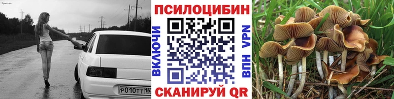 Галлюциногенные грибы мицелий  Аша 