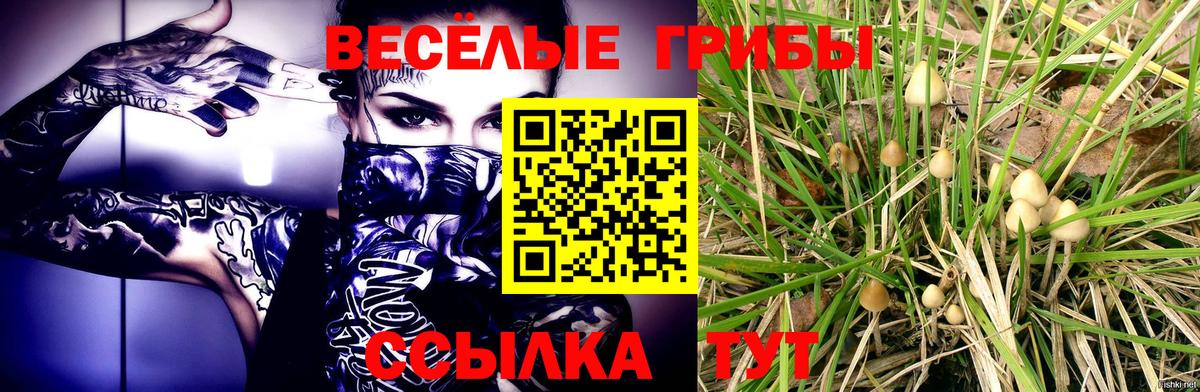 Галлюциногенные грибы мицелий Аша