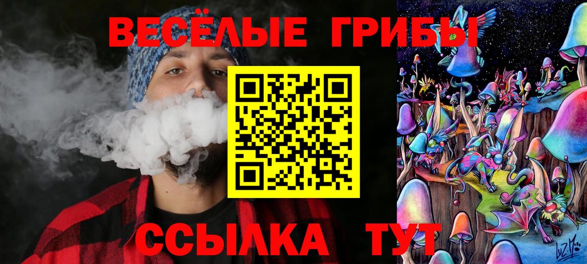 Галлюциногенные грибы GOLDEN TEACHER  Галлюциногенные грибы Magic Shrooms  Вход с VPN  Аша 